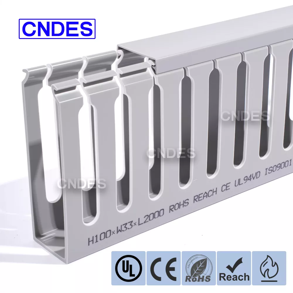 100×33 सर्भर र्याक केबल व्यवस्थापन